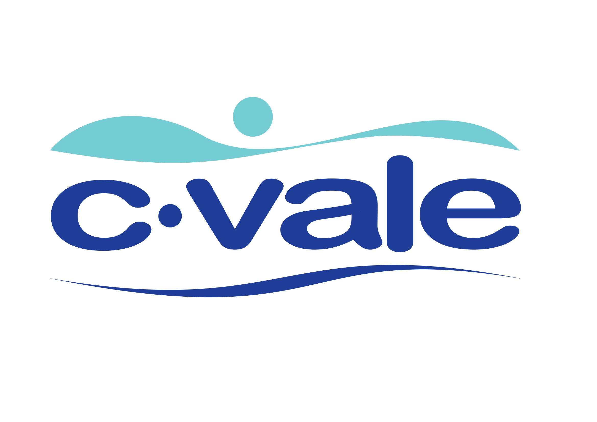 LOGOTIPO_CVALE-1